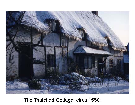picture of Thatched Cottage